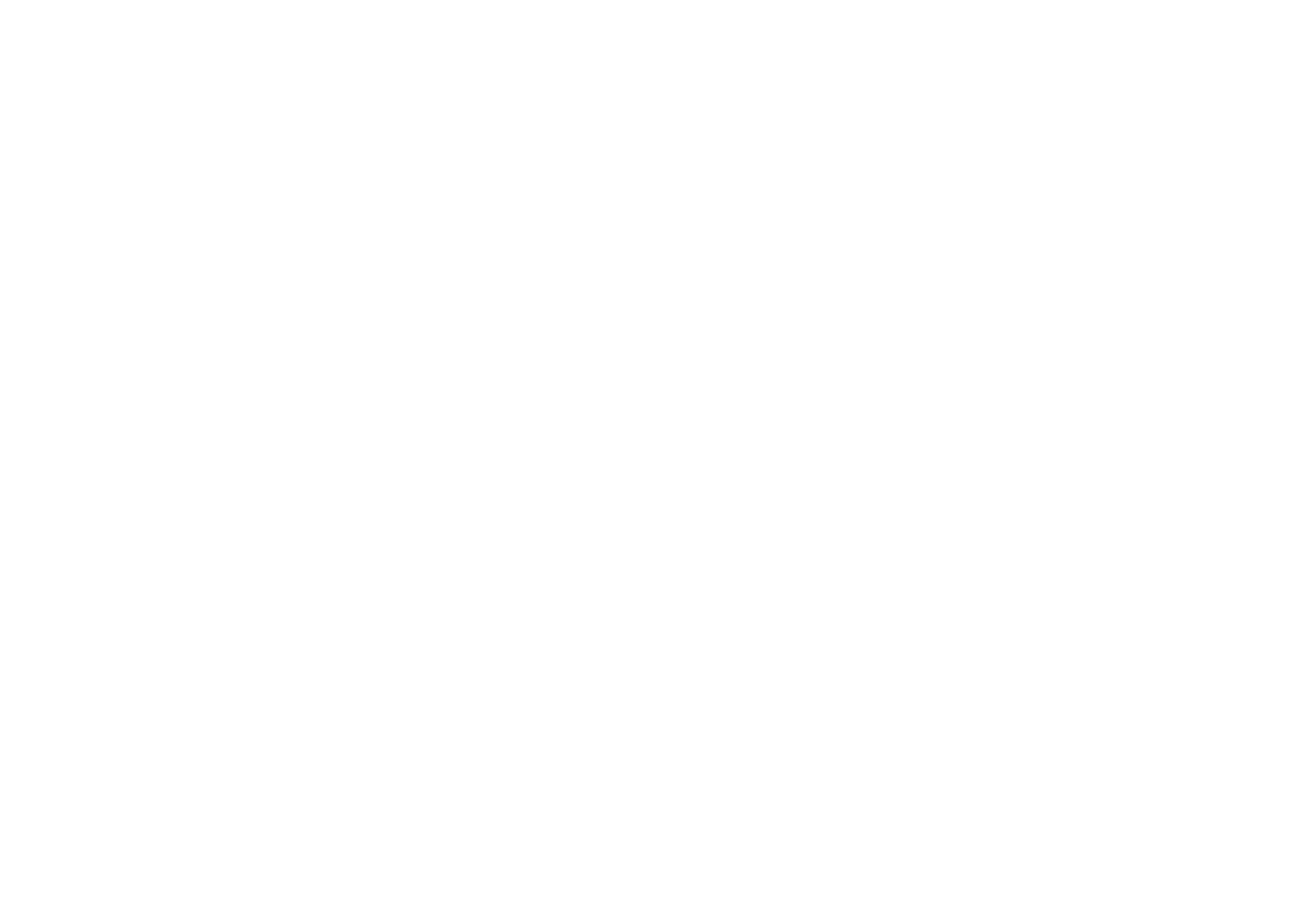 FLy-Blade